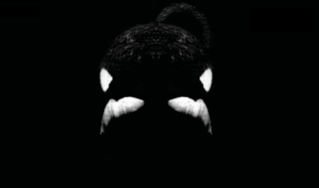 Blackfish