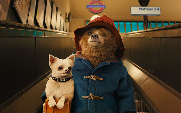 Paddington-bear