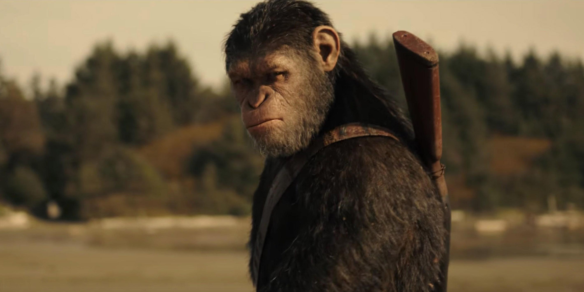war-for-the-planet-of-the-apes-caesar.jpg