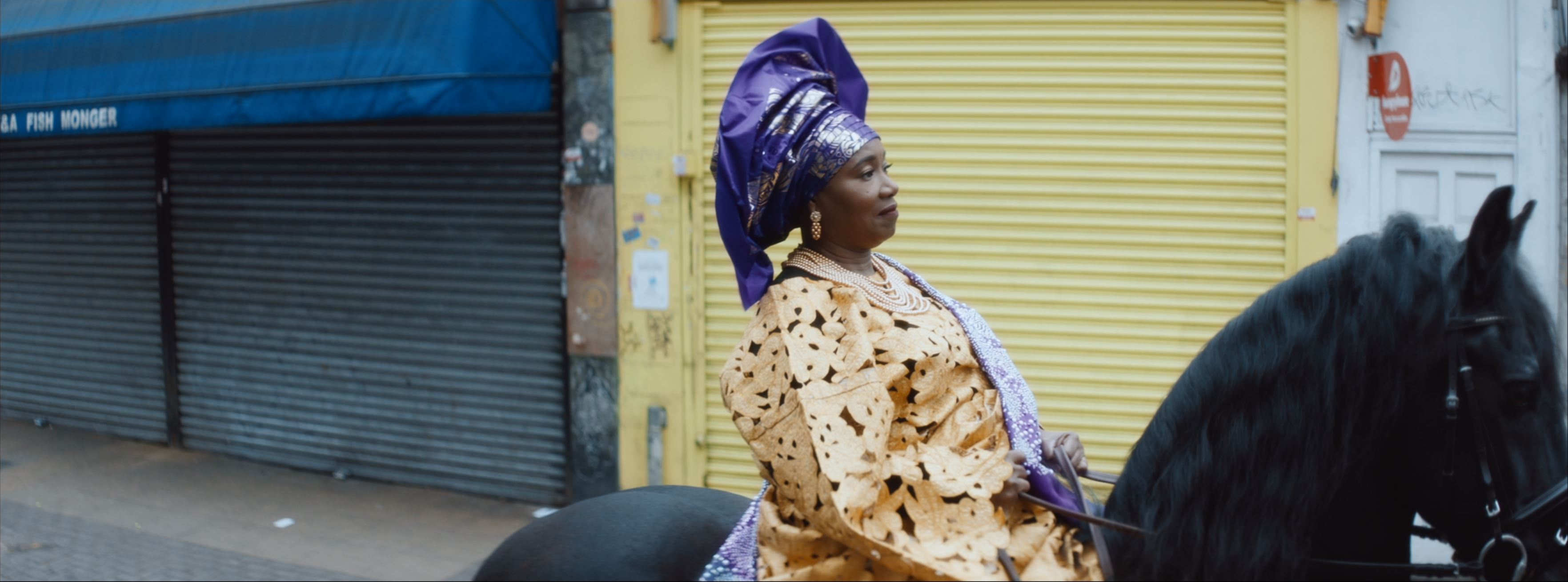 Motion Picture - Entitled.JPG